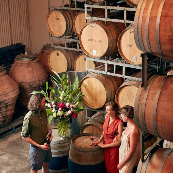 Quealy winemakers Barrel room