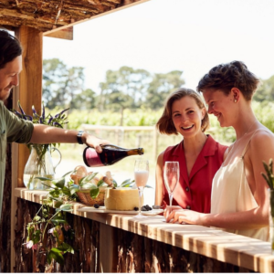 Mornington Peninsula Wine tours -Quealy Wine Makers