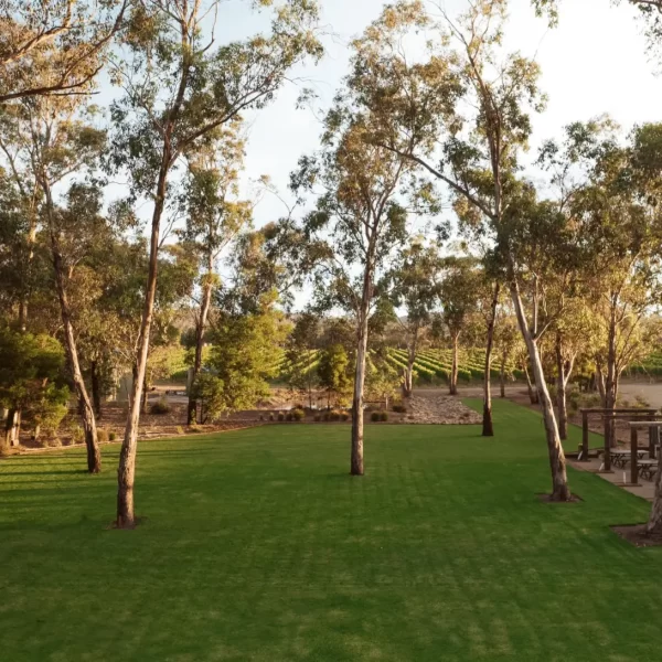 Helen's Hill Estate - Outdoor space and View over the vineyard