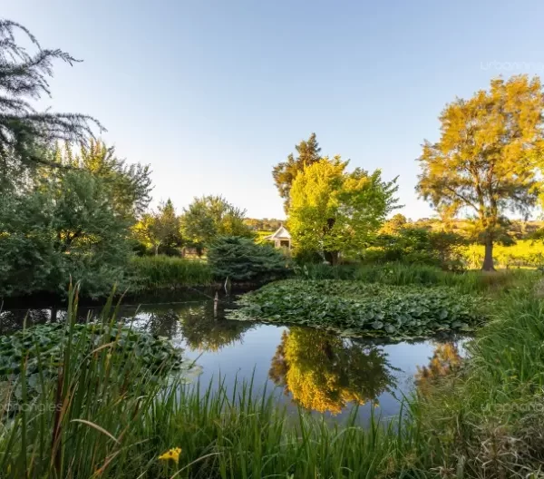 Enhanced Wine Discovery - Fergusson Winery - Gardens 2