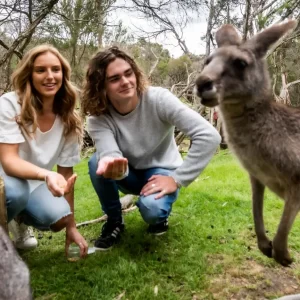 1 Day Phillip Island Penguin Parade Tour -young couple feeding roos landscape