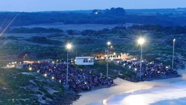 Dusk at the Penguin Parade (General Admission)