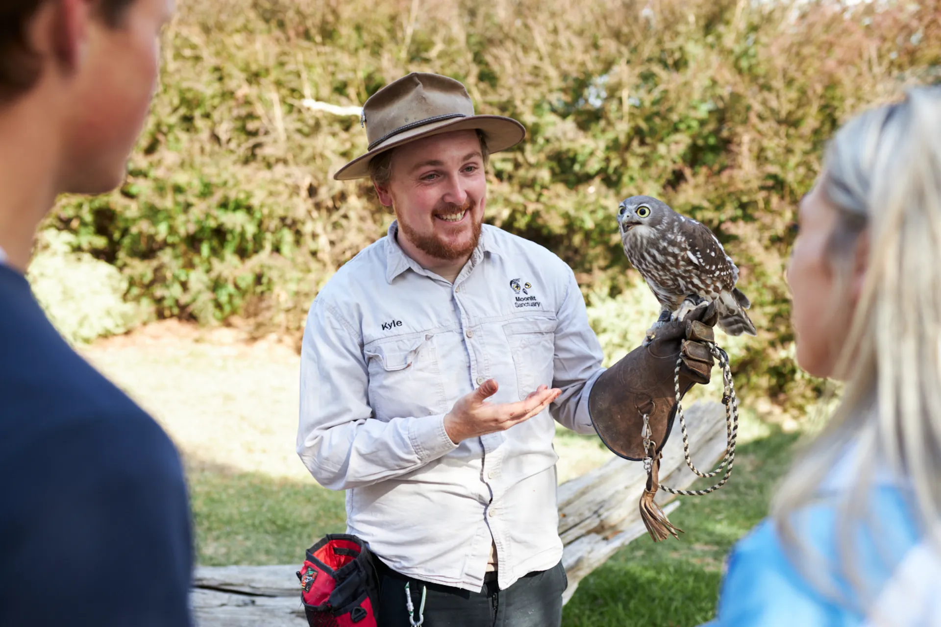 Moonlit Sanctuary - Moonlit staff holding bird