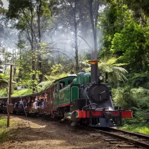 Private Half Day Puffing Billy Tour