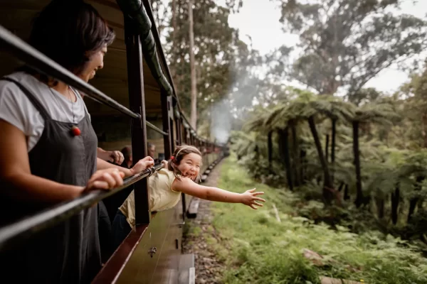 girl smiling and streatching arm out of carriage